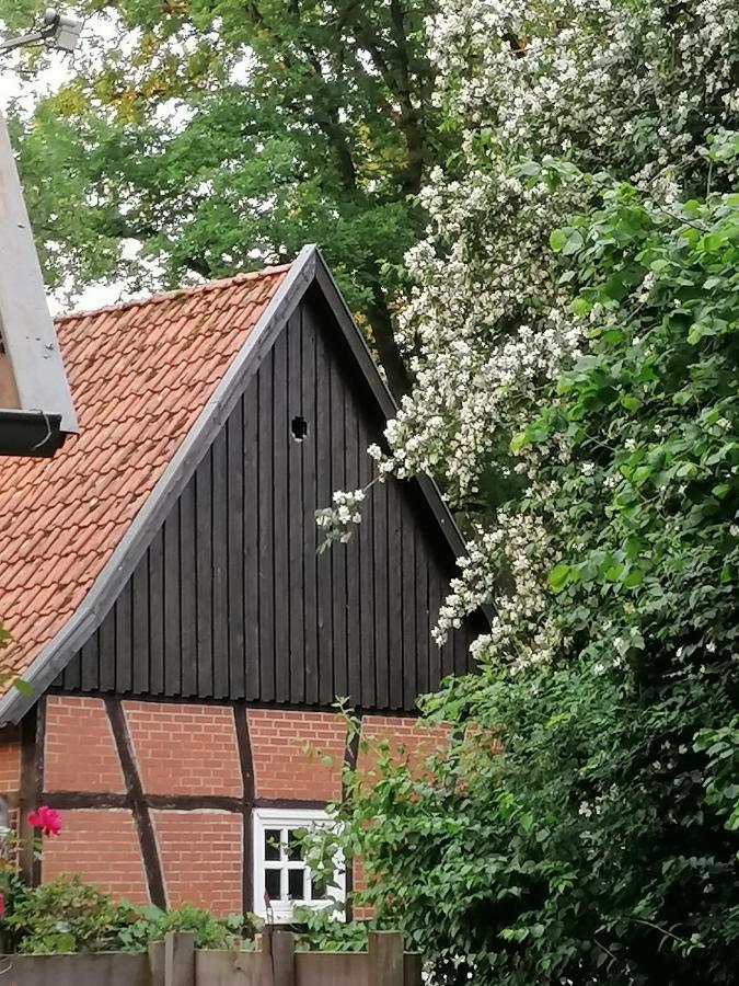 Ferienhaus In Rumke Bippen Экстерьер фото